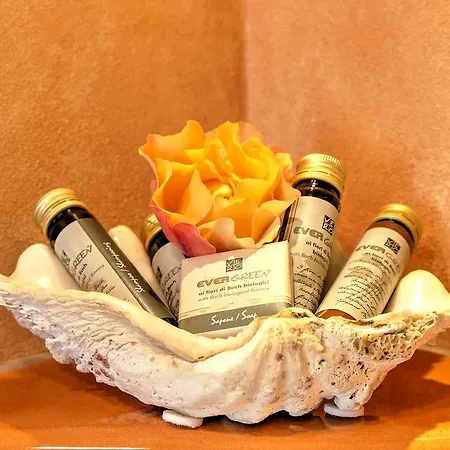 Bed & Breakfast Relais Di Alice- Adults Only