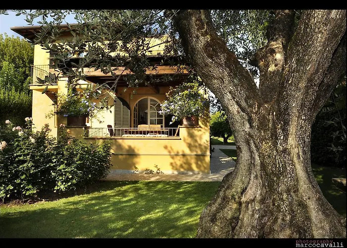 Relais Di Alice- Adults Only Alojamento de Acomodação e Pequeno-almoço Forte dei Marmi